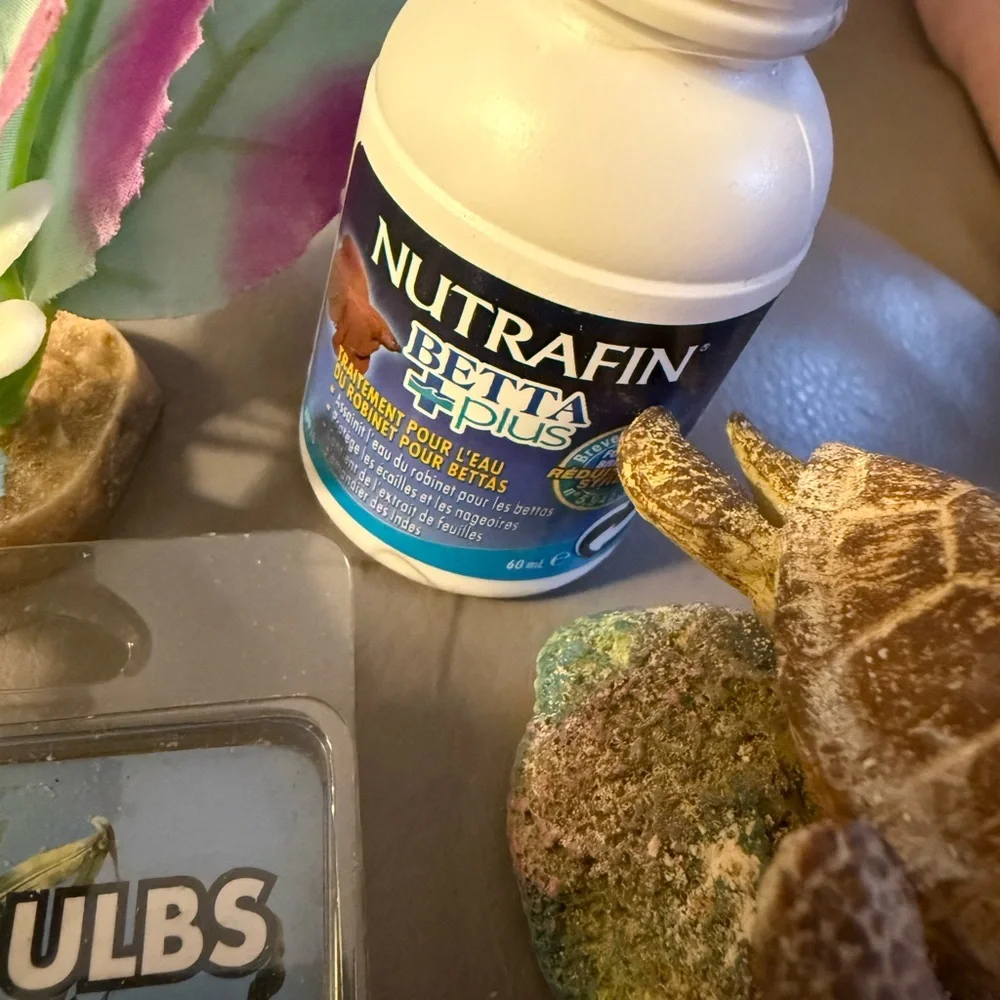 Betta Bulbs and Aquarium Decor